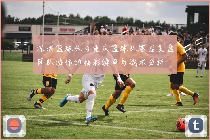 深圳篮球队与重庆篮球队赛后复盘团队协作的精彩瞬间与战术分析