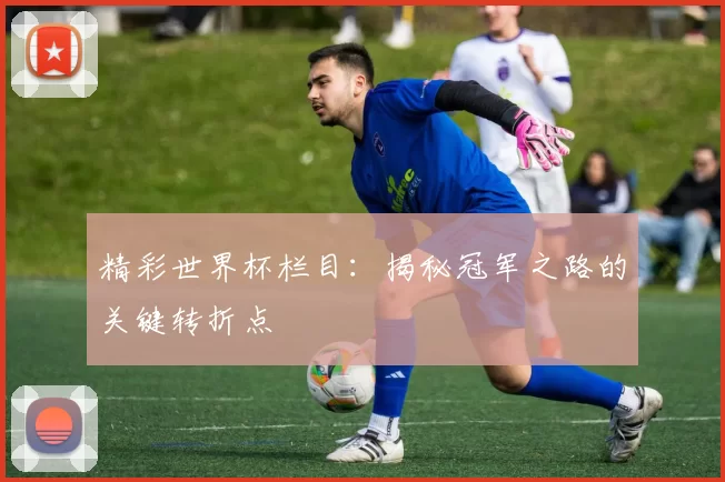 精彩世界杯栏目:揭秘冠军之路的关键转折点