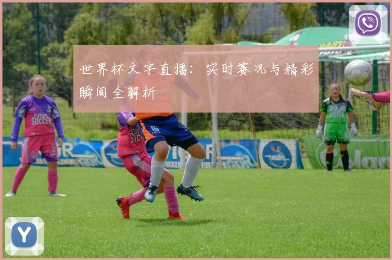 世界杯文字直播:实时赛况与精彩瞬间全解析