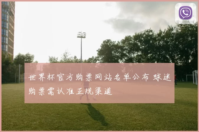 世界杯官方购票网站名单公布 球迷购票需认准正规渠道
