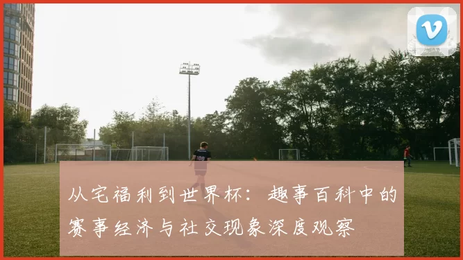 从宅福利到世界杯:趣事百科中的赛事经济与社交现象深度观察
