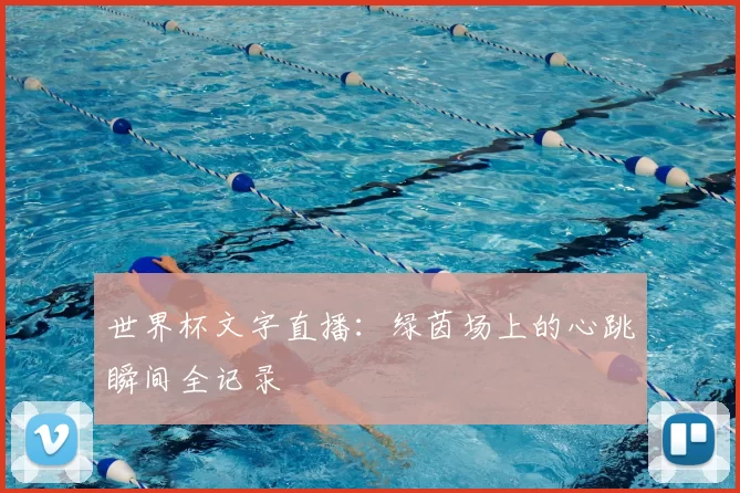 世界杯文字直播：绿茵场上的心跳瞬间全记录