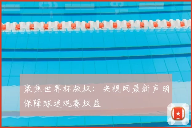 聚焦世界杯版权:央视网最新声明保障球迷观赛权益