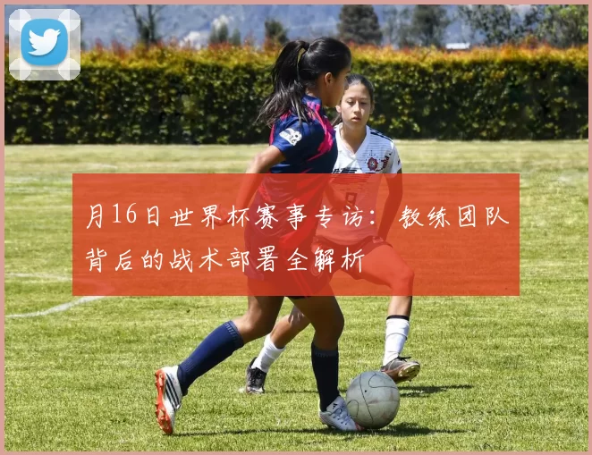月16日世界杯赛事专访:教练团队背后的战术部署全解析