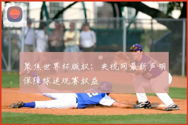 聚焦世界杯版权:央视网最新声明保障球迷观赛权益