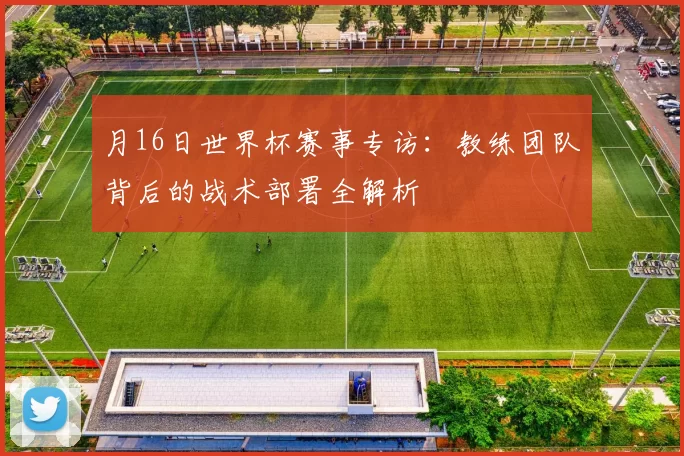 月16日世界杯赛事专访:教练团队背后的战术部署全解析