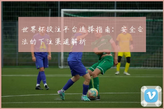 世界杯投注平台选择指南:安全合法的下注渠道解析