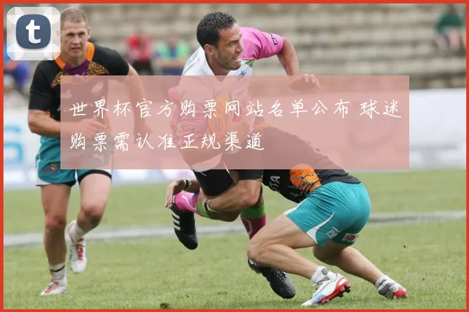世界杯官方购票网站名单公布 球迷购票需认准正规渠道